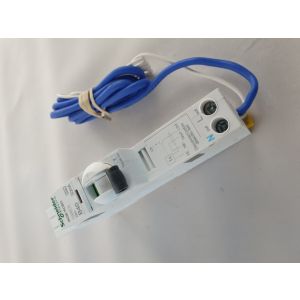 B Curve RCBOs - 30mA - RCBO 1PPNs 40A B 30mA 
