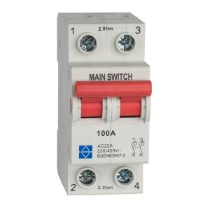  Main Switch - 100A DP