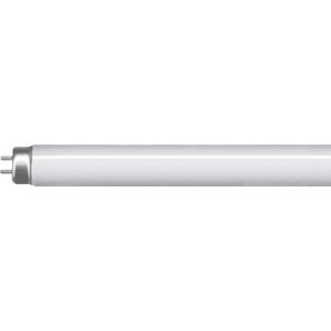 6W T5 225mm 3500K, 5,000 hrs, 260 lumens