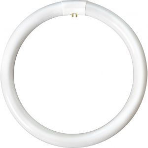 Circular Fluorescent Tube - 40W T9 G10q 4 pin, 4100K, 10,000 hrs