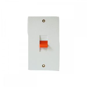 45 Amp DP Switches &amp; Cookers - 2 gang switch (vertical)