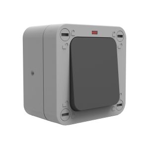 Switch 20A DP IP66 g/b