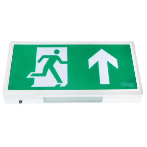 Wall mounted emergency exit sign + up leg LiFePo4 rem con