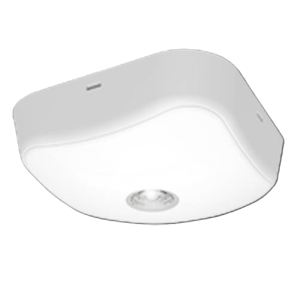 Emergency surface downlight 80lm IP65 self-test white