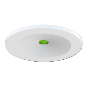 Emergency downlight flush mtg 110lm self-test white