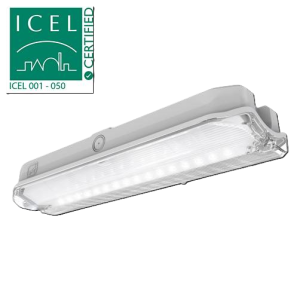 Emergency bulkhead 167lm self-test white